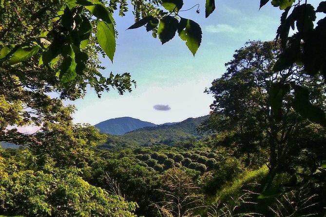 Minca Trekking Private Tour  - Santa Marta - Tour Highlights and Inclusions