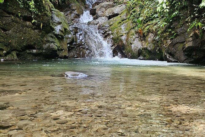 Mindo Cloud Forest - Whats Included
