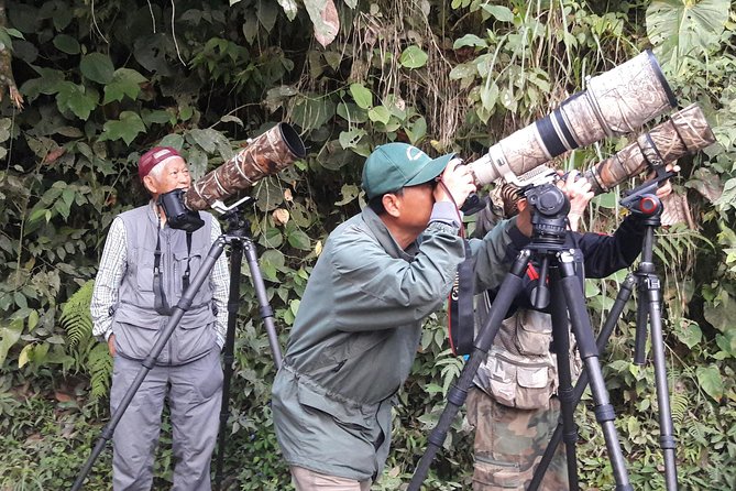 Mindo Half Day Birding Experience - Exotic Bird Species