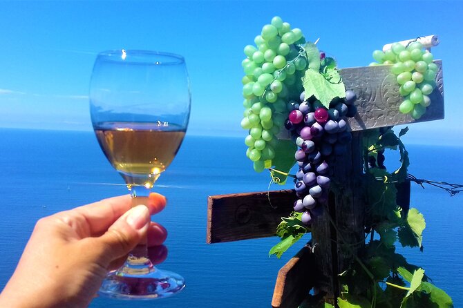 Minitrekking and Visit of the Cinque Terre Vineyard - Pricing Information