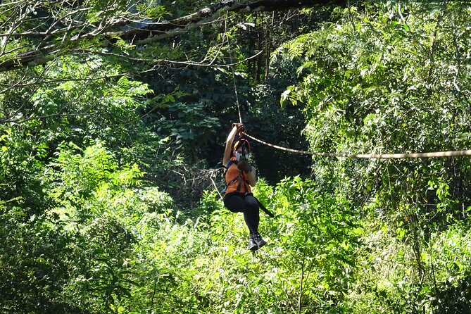 Monkey Jungle Zipline in Tamarindo, Costa Rica - Overview and Details