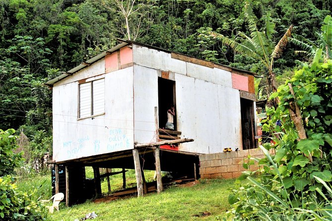 Montego Bay Highlights Heritage Tour From Montego Bay Hotels - Exploring Local Villages and Farming Areas