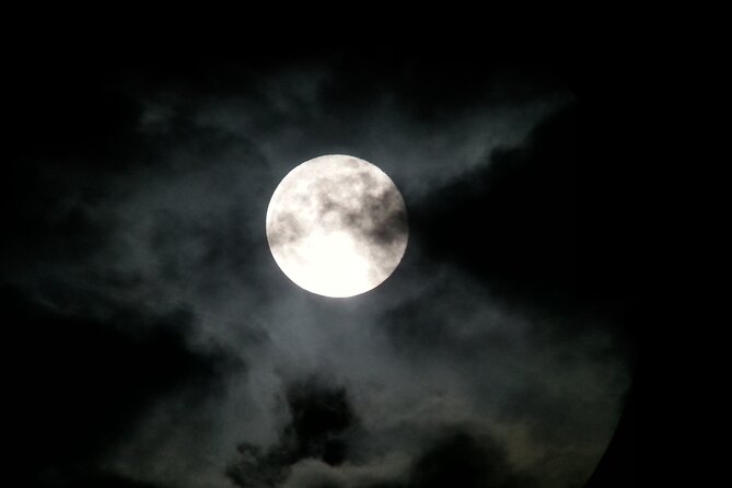 Monteverde Wildlife Night Hike by Flashlight  - Puntarenas - Nocturnal Wildlife Spotting With Flashlights