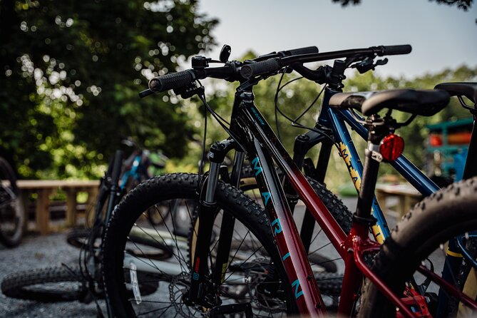 Mountain Bike Tour From the Roanoke Star - Itinerary Overview