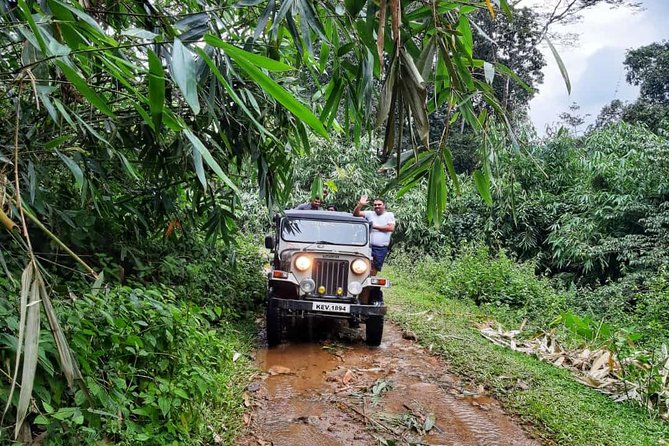 Munnar Mountain Jeep Safari - Reviews and Ratings Overview