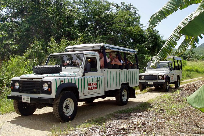 Mystic Island Safari - Inclusions