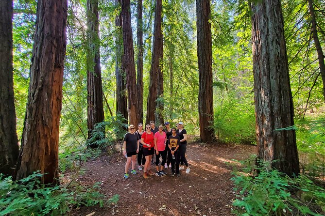 Napa Valley Redwood Hike - Preparation Tips