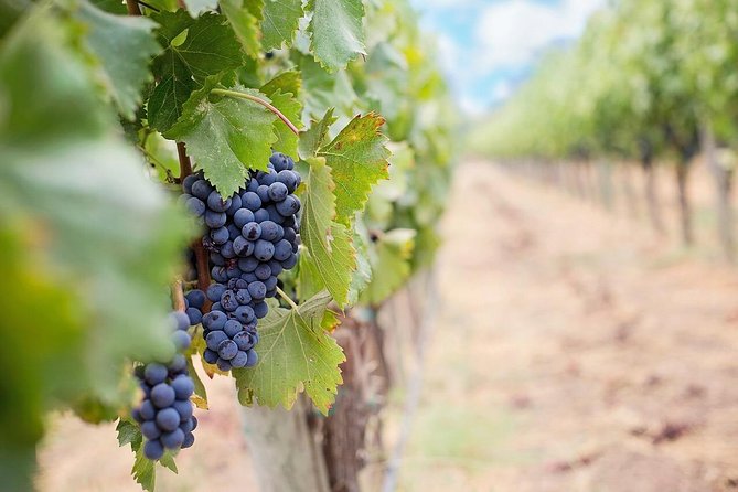 Naramata Wine Tour From Kelowna - 4 Wineries - Tour Itinerary