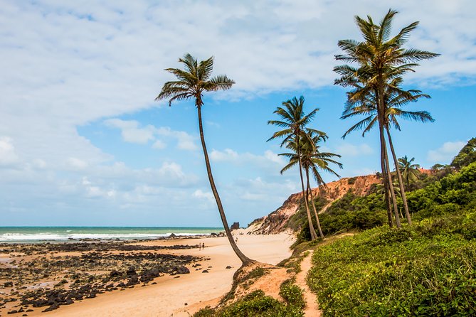 Natal to Pipa Beach Full-Day Tour With Transport and Guide - Pickup Details and Cancellation Policy
