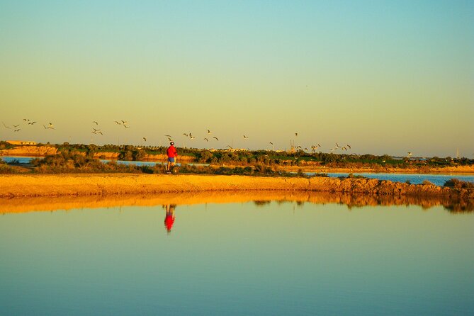 Natural Park Segway Tour With Seafood Lunch in Faro Island - Quinta Do Lago Villas and Resorts