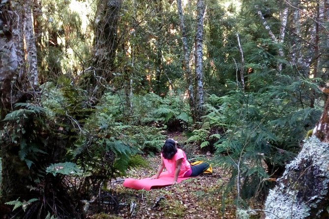 Nature Therapy Walks