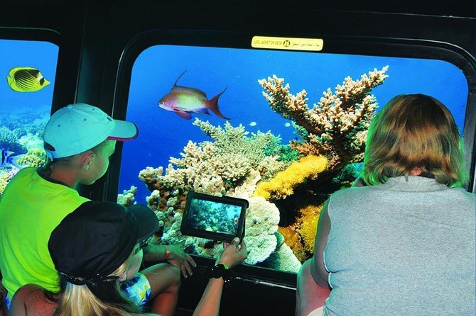 Nefertari Seascope Boat Trip From Marsa Alam - Pickup Details