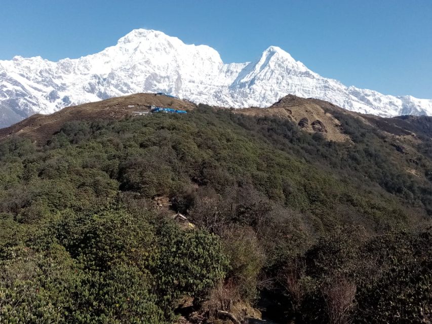 Nepal: 10 Days Nepal Tour With Mardi Himal Trek - Wheelchair Accessibility and Private Groups