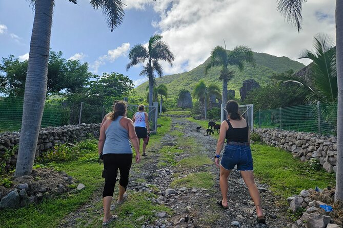 Nevis Island Road Trip - Must-See Stops on Nevis Island
