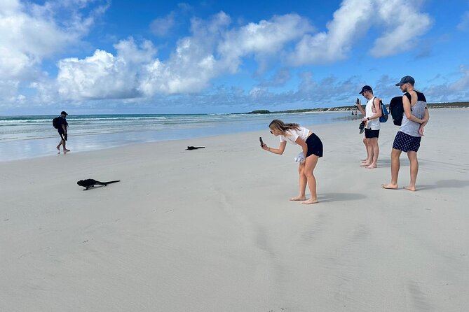Newspaper Headline: Uncover Galapagos Wonders on Private Tour - Tour Itinerary