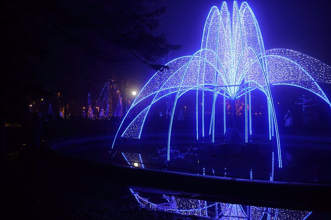 Niagara Falls (Canada) Festival of Lights Guided Tour - Pricing and Options