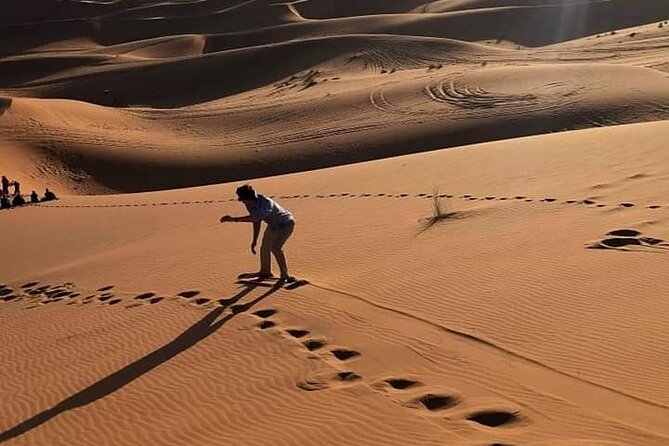 Night in Erg Chebbi Desert, Camel Ride, Luxury Camp, Sandskiing - Camel Ride Through the Dunes