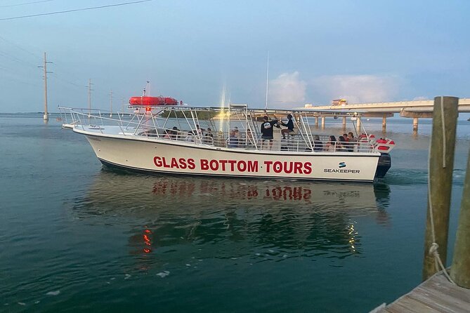 Night Tour Glass Bottom Boat in Islamorada - Booking and Cancellation Policy