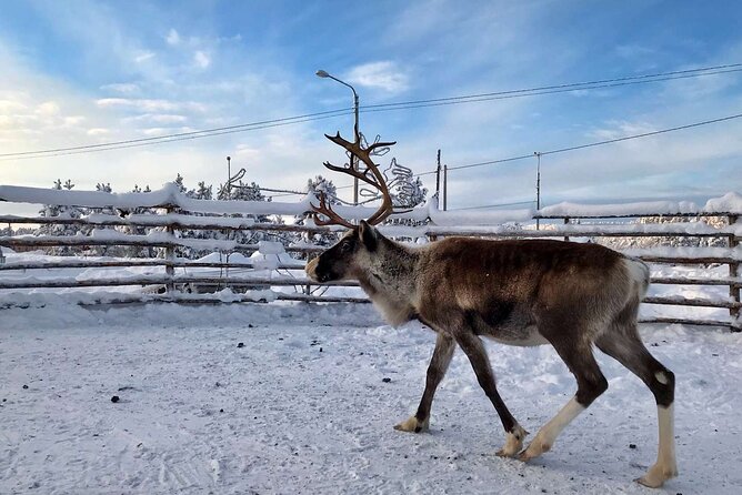 Nordic Winter Multi Day Getaway - Must-See Attractions on the Nordic Winter Getaway