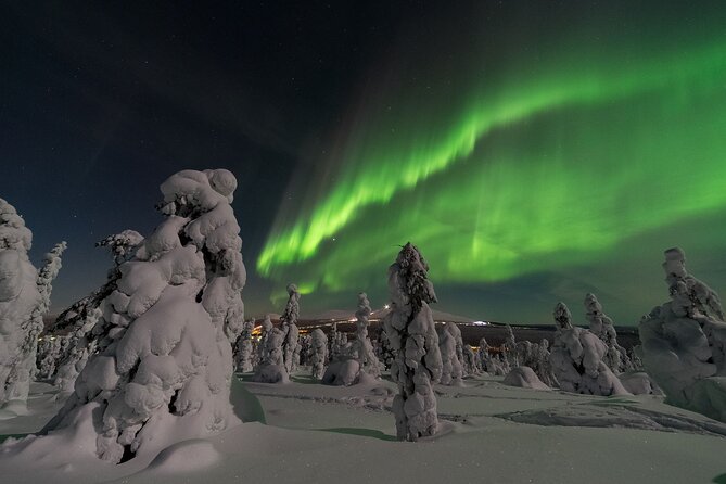 Northern Light Safari by Snowmobiles From Levi - Overview of the Northern Lights Safari