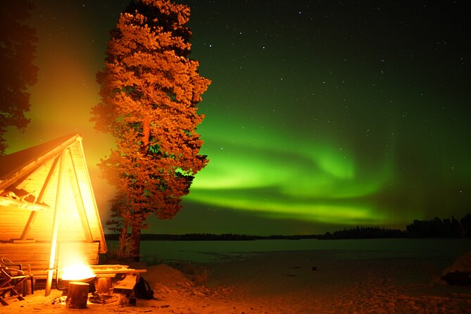 Northern Lights and Barbecue Experience From Rovaniemi - Customer Reviews