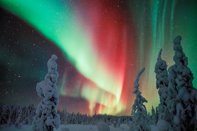 Northern Lights Aurora Tour From Kemi - Inclusions and Services Provided