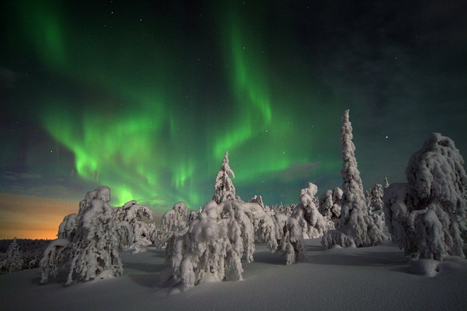 Northern Lights Hunt Including Snacks on Campfire From Levi - Traveler Reviews