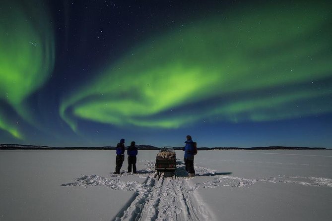Northern Lights Tour to Lake Inari From Ivalo, Reindeers & Dinner - Overview of the Northern Lights Tour