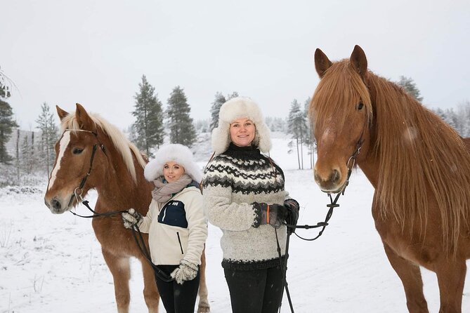 Northern Lights Tour With Finn Horses Sleigh Ride in Lapland - Inclusions and Itinerary
