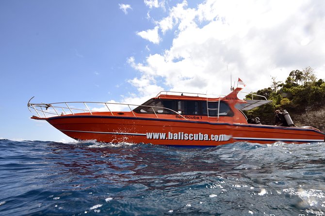Nusa Penida Day Trip for 3 Dives - Pickup Details and Transfers