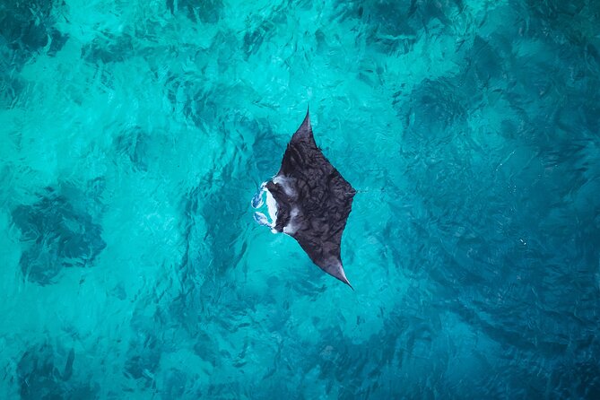 Nusa Penida Tour and 4 Point Snorkeling (INCLUSIVE) - Snorkeling Locations