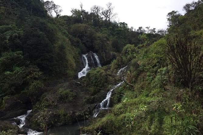 Oahu to Maui 1 Day Trip : Road to Hana Day Trip From Oahu With Air Ticket - Tour Overview and Highlights