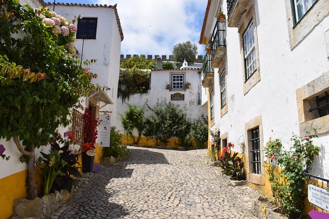 Óbidos, Peniche and Buddha Eden Full Day Private Tour From the West - Expert Tour Guide