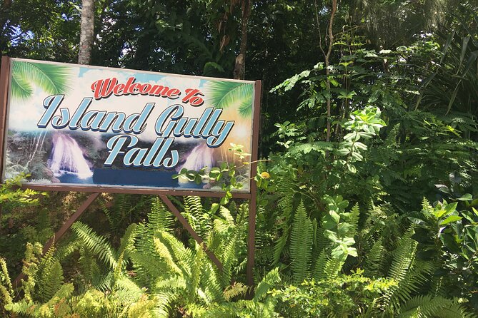 Ocho Rios/Private Tour to Famous Blue Hole and Local Farm in the Countryside - Blue Hole and Local Farm Visit