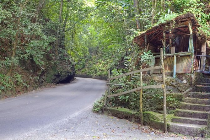 Ocho Rios Sightseeing, Shopping & Evitas Jam-Italian Lunch - Must-See Sightseeing Spots