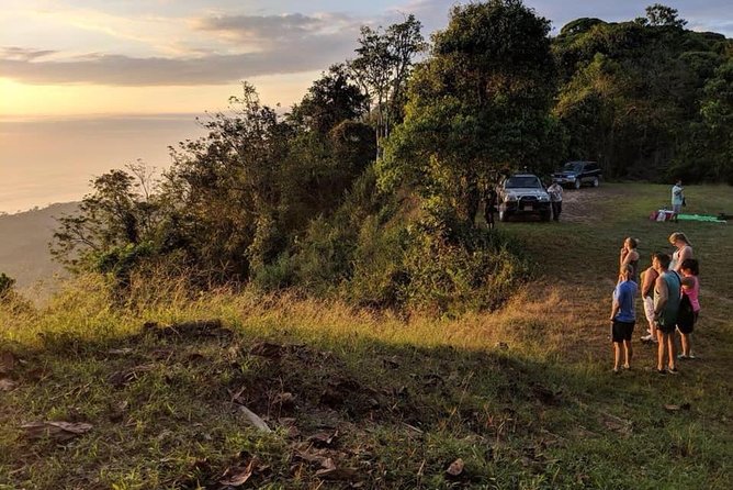 Off the Beaten Path: Safari Adventure Awaits - Tour Highlights