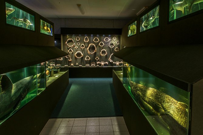Official Ticket: Oceanographic Museum Univali - Piçarras - SC - Inclusions