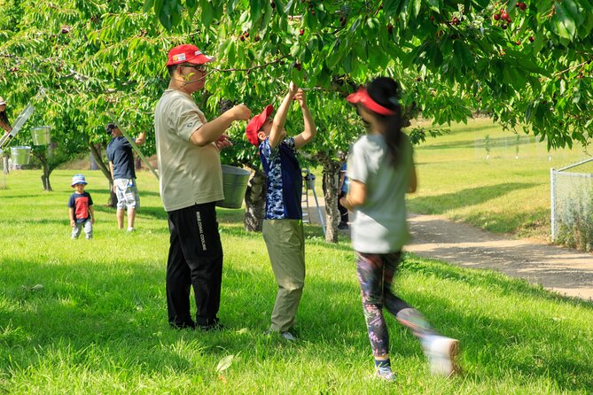Okanagan 2 Days Wine Tasting & Cherry Picking Tour / Minimum 3 People Required - Kelowna: The Starting Point for Adventure