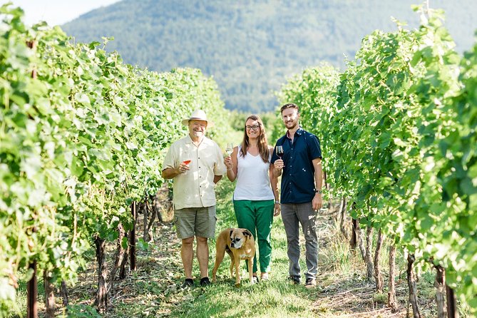 Okanagan Falls Wine Tour - Classic - 4 Wineries - Good To Know