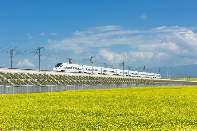 One Day Chengdu Xian Tour by Bullet Train - Itinerary Overview