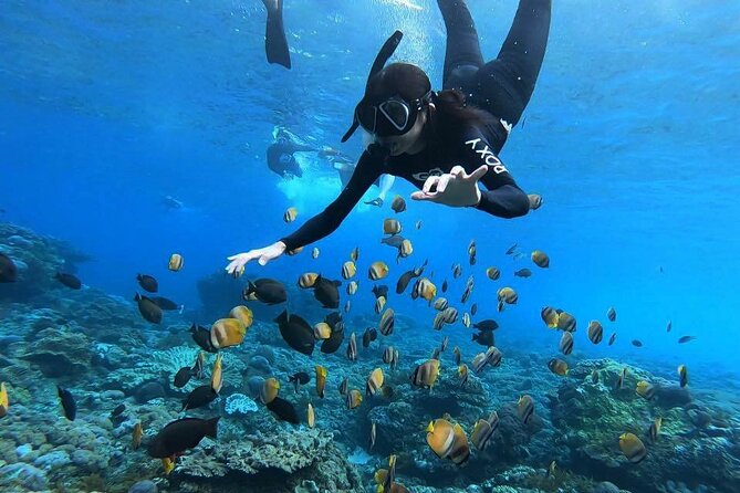 One Day Nusa Penida Island West With Snorkeling - Good To Know