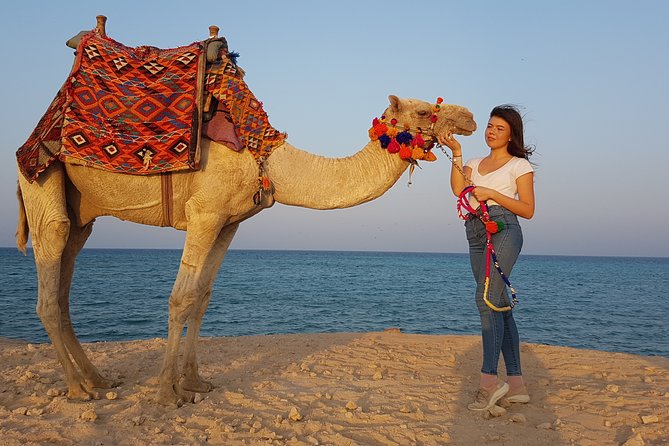 One Hour Camel Ride at Amazing Desert With Transfer - Sharm El Sheikh - Good To Know