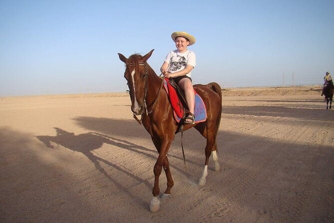 One Hour Horse or Camel Riding With Transfer- Sharm El-Sheikh - Experience Details and Pricing