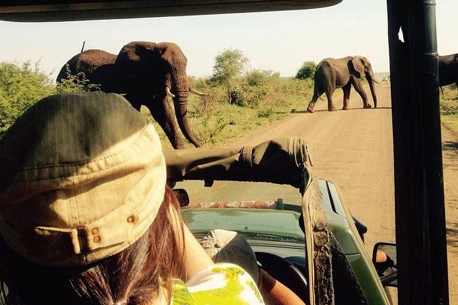 Open Vehical Safari in Kruger National Park Half Day - Important Information About Cancellations and Refunds