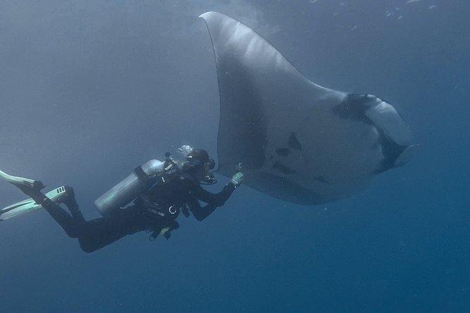 Open Water Diver Certification OWD - Benefits of OWD Certification