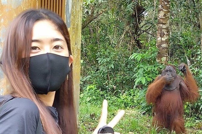 Orangutan Tour Tanjung Puting 3D2N - Good To Know