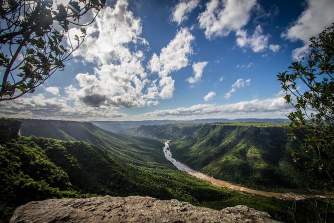 Oribi Gorge and Lake Eland Adventure Day Tour From Durban - Inclusions