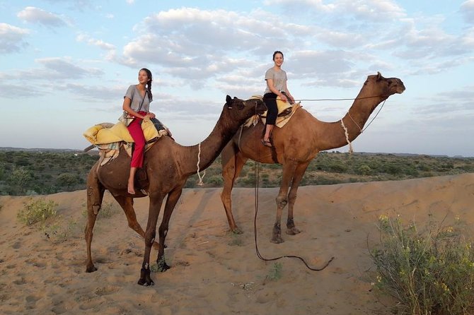 Osian Desert Camel Safari With Transfers From Jodhpur (Feb ) - Convenience of Hotel Pickup Included