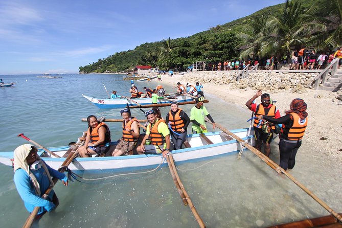 Oslob Whale Shark and Kawasan Falls Day Tour - Itinerary Highlights