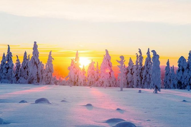 Ounasvaara and Ranua Zoo - Lapland Day Tour Overview